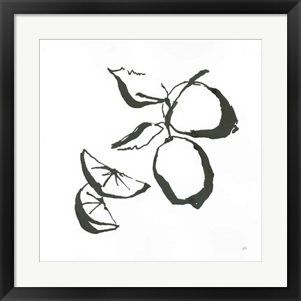 Framed Limes BW Print