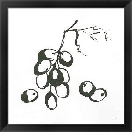 Framed Grapes I BW Print