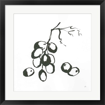 Framed Grapes I BW Print