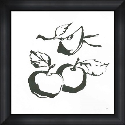 Framed Apples BW Print