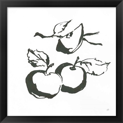 Framed Apples BW Print