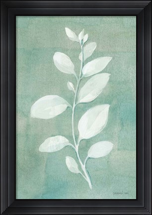 Framed Sage Leaves II Print