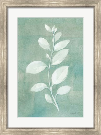 Framed Sage Leaves II Print