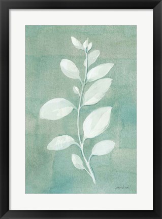 Framed Sage Leaves II Print