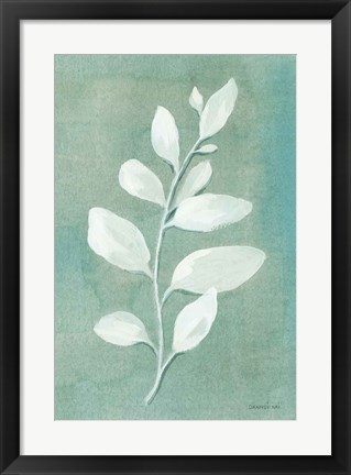 Framed Sage Leaves I Print