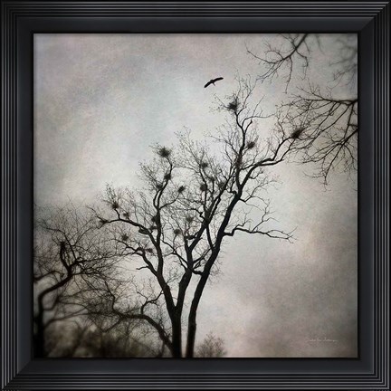 Framed Heron Rookery Print