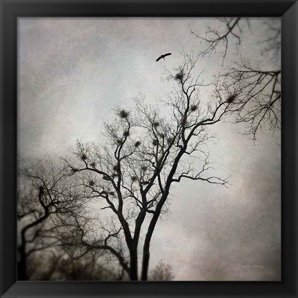 Framed Heron Rookery Print