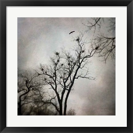 Framed Heron Rookery Print