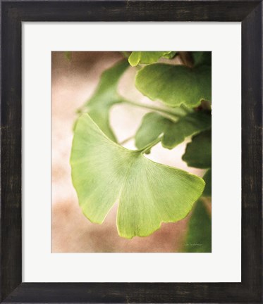 Framed Sprouting Ginkgo III Print