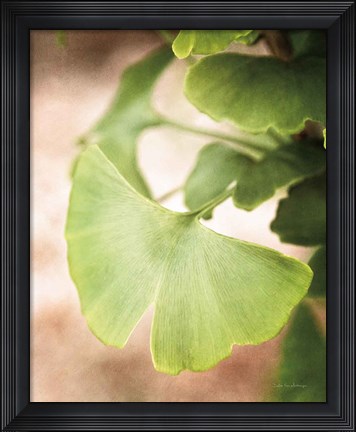 Framed Sprouting Ginkgo III Print