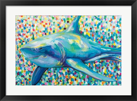 Framed Chatham Shark Print