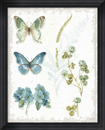 Framed My Greenhouse Botanical IV No Words Print