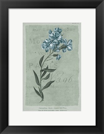 Framed Conversations on Botany VI on White with Blue Print