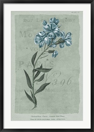 Framed Conversations on Botany VI on White with Blue Print