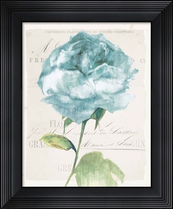 Framed Antique Floral II Blue Vintage Print