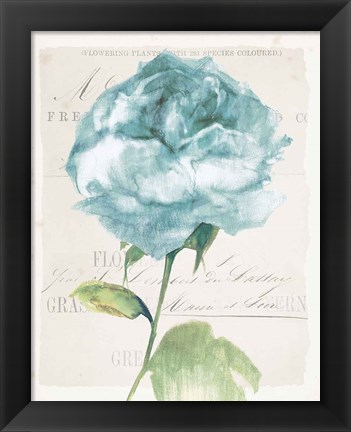 Framed Antique Floral II Blue Vintage Print