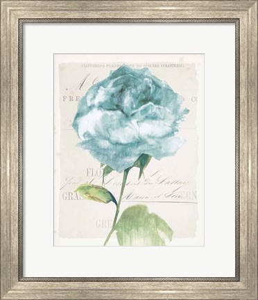 Framed Antique Floral II Blue Vintage Print