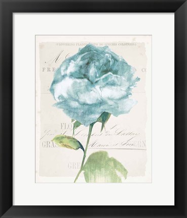 Framed Antique Floral II Blue Vintage Print