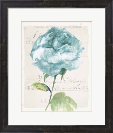 Framed Antique Floral II Blue Vintage Print