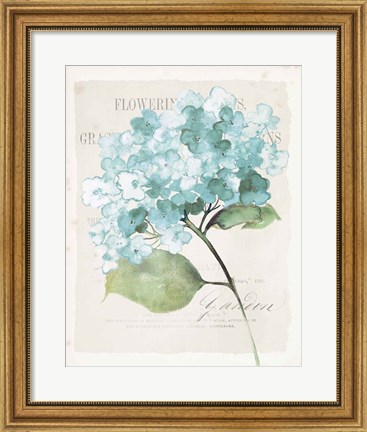 Framed Antique Floral I Blue Vintage Print