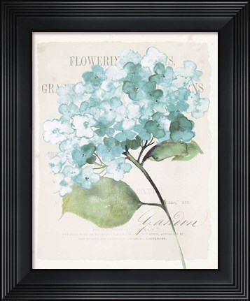 Framed Antique Floral I Blue Vintage Print