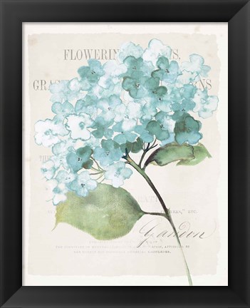 Framed Antique Floral I Blue Vintage Print