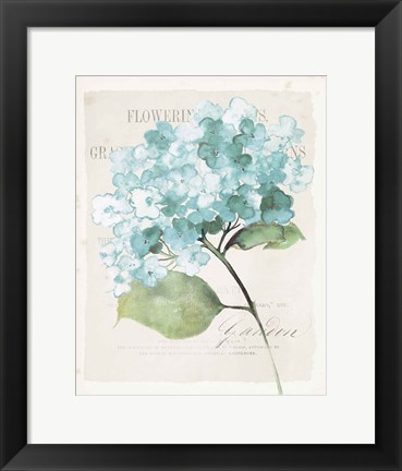 Framed Antique Floral I Blue Vintage Print