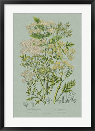 Framed Flowering Plants III Green Linen Print