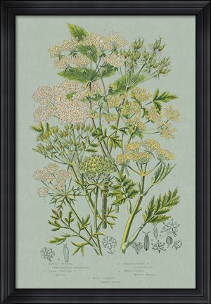 Framed Flowering Plants III Green Linen Print