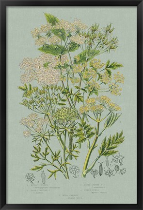 Framed Flowering Plants III Green Linen Print