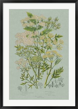 Framed Flowering Plants III Green Linen Print