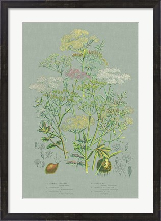 Framed Flowering Plants II Green Linen Print