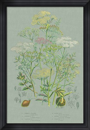 Framed Flowering Plants II Green Linen Print