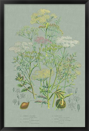 Framed Flowering Plants II Green Linen Print