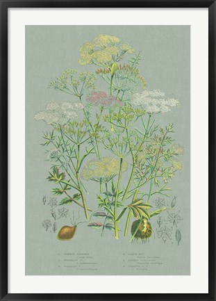 Framed Flowering Plants II Green Linen Print