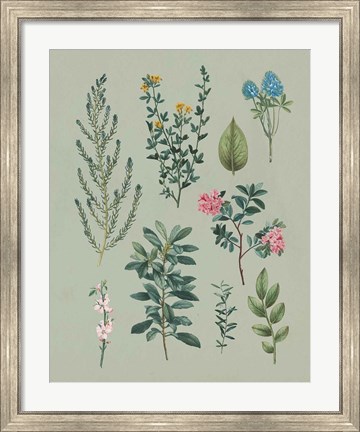 Framed Victorian Garden VI Print