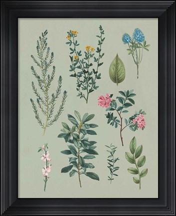 Framed Victorian Garden VI Print