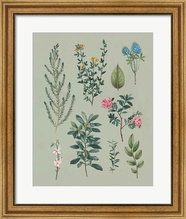 Framed Victorian Garden VI Print