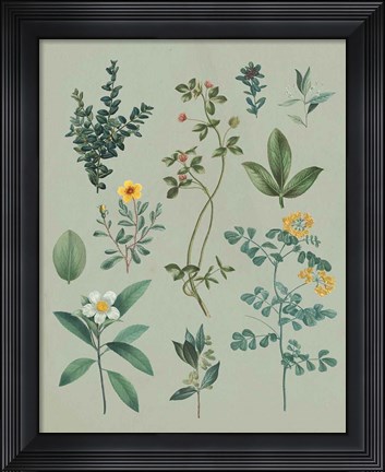 Framed Victorian Garden V Print