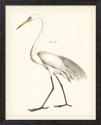 Framed Vintage Heron II Print