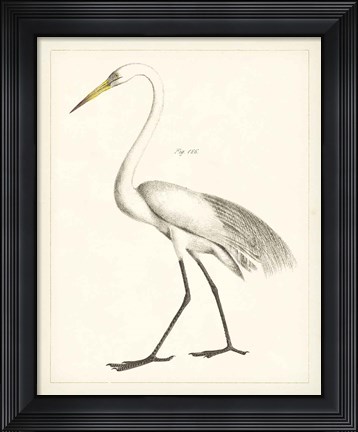 Framed Vintage Heron II Print