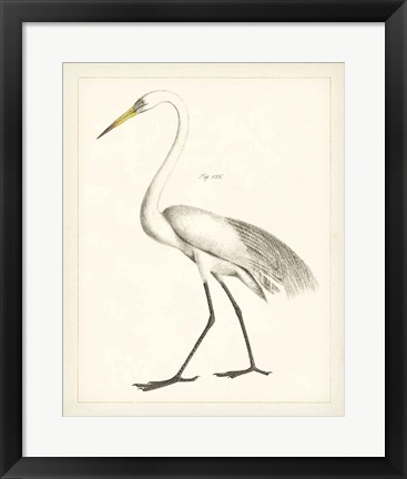 Framed Vintage Heron II Print