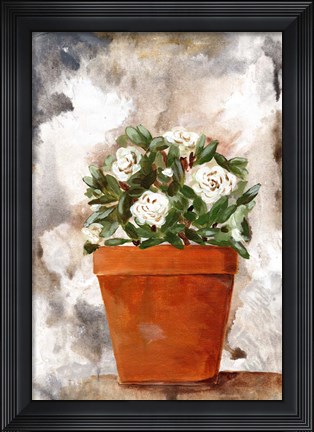 Framed White Flower Clay Pot I Print
