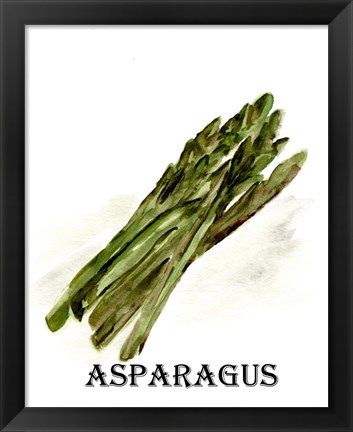 Framed Veggie Sketch I-Asparagus Print