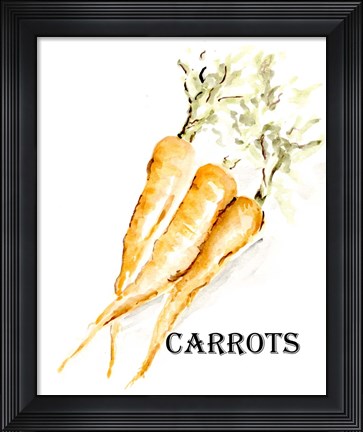 Framed Veggie Sketch V-Carrots Print