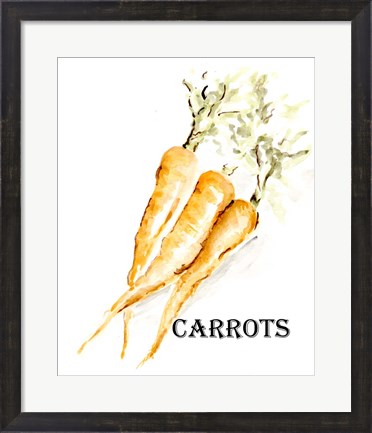 Framed Veggie Sketch V-Carrots Print