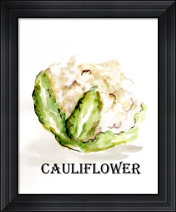 Framed Veggie Sketch VI-Cauliflower Print