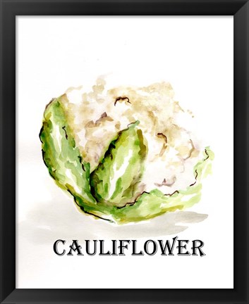 Framed Veggie Sketch VI-Cauliflower Print