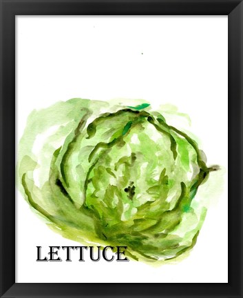 Framed Veggie Sketch IX-Lettuce Print