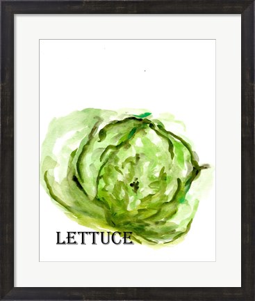 Framed Veggie Sketch IX-Lettuce Print